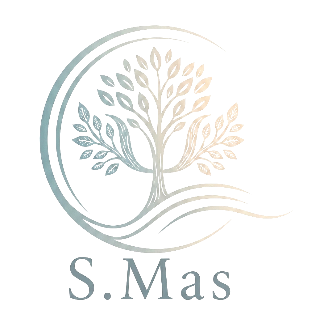 Logo Sébastien Mas